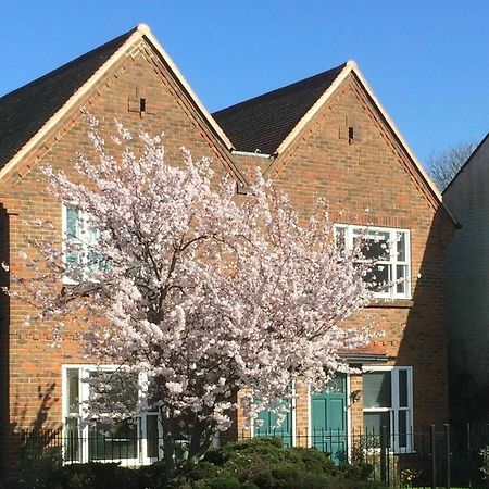 3 Summertown Court Oxford Kültér fotó