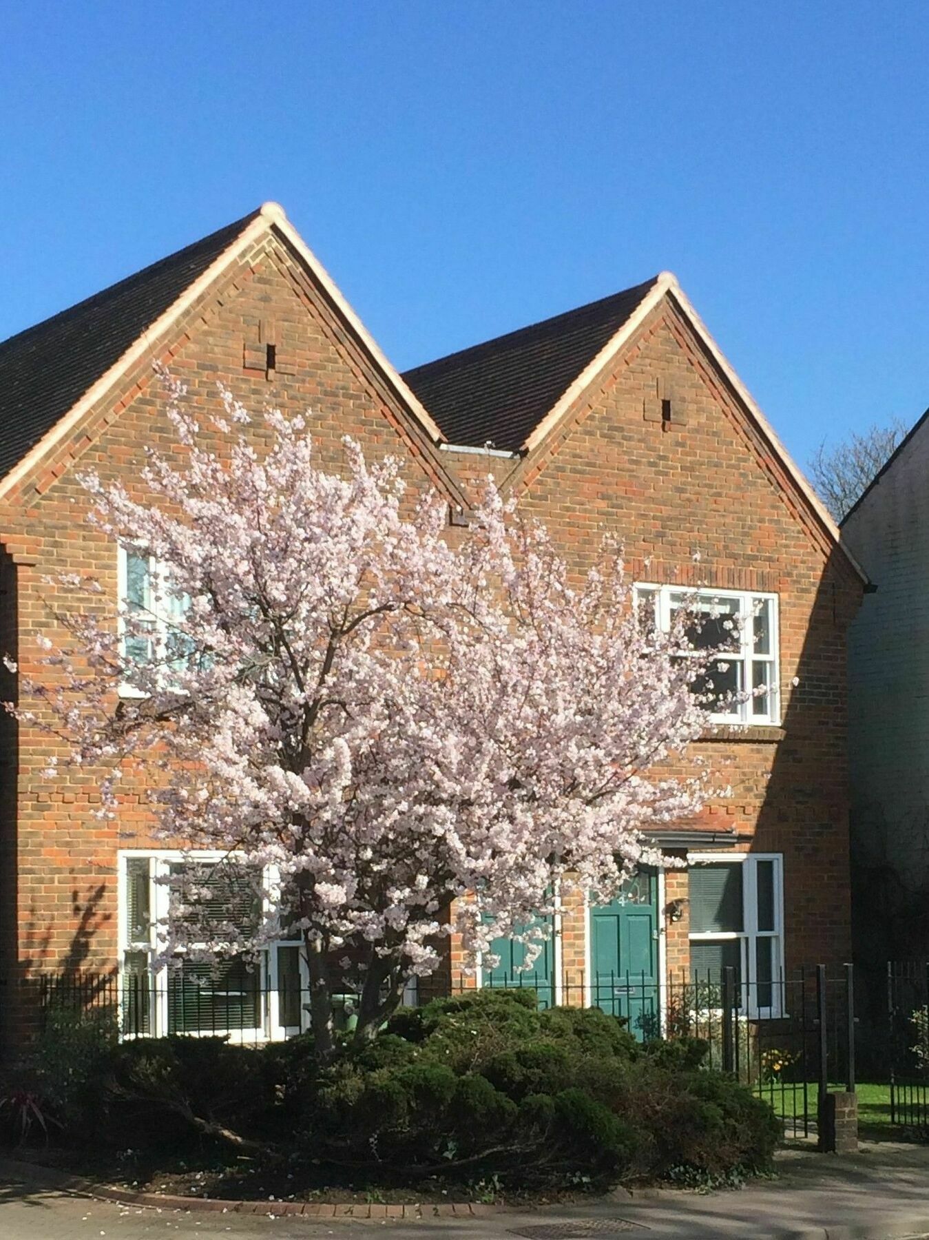 3 Summertown Court Oxford Kültér fotó